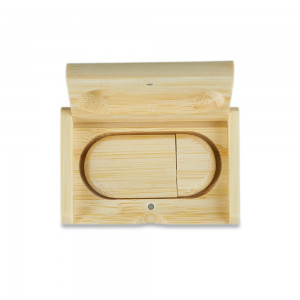 Kit Pen Drive Ecológico